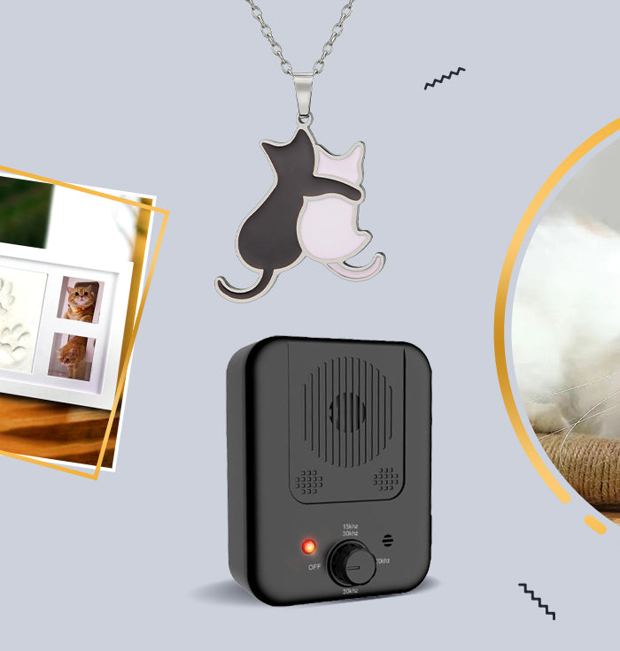 <h2>Pet Care Accessories</h2>