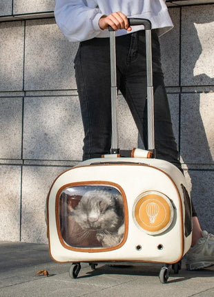 Fashion Canvas Cat Luggage