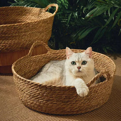Pure Manual Cat Bed House Rattan Woven Four Seasons Nest Cat Scratch Board General Dandelion Woven Cool Pet Home Cat Accessories