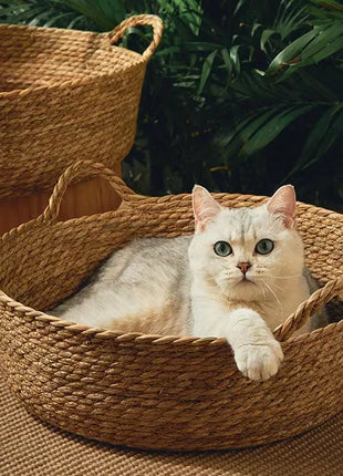 Pure Manual Cat Bed House Rattan Woven Four Seasons Nest Cat Scratch Board General Dandelion Woven Cool Pet Home Cat Accessories