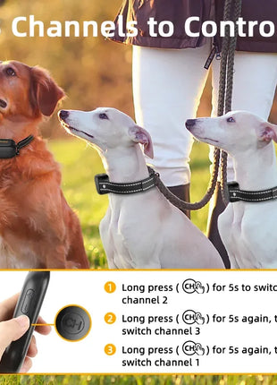 Electric Dog Training Collar Digital Rechargeable Remote Control IPX7 Waterproof Vibrator Pet Dog Bark Stop Shock Collar