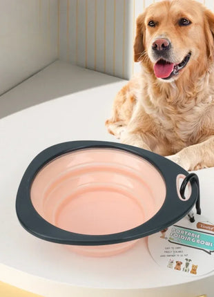 Collapsible Dog Bowl 320Ml Silicone Dog Food Container Health and Safety Pet Travel Drinking Bowl Dog Cat Feeding Plate